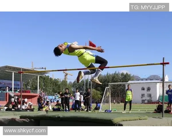 张芳排球生涯回顾与展望对话录分享运动精神与成长故事